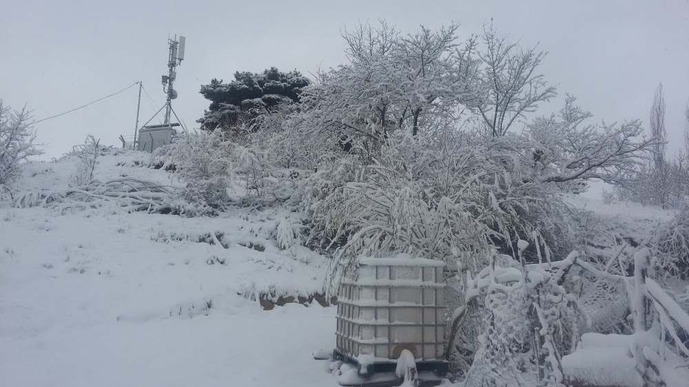 Çobanözü Ortaokulu Fotoğrafları 2