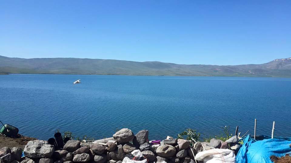 Balık Gölü İlkokulu Fotoğrafları 3