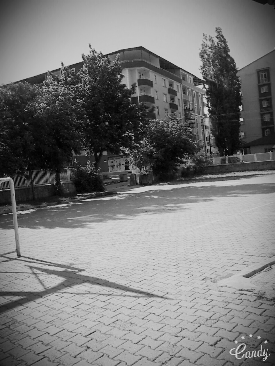 Ağrı Çukurçayır İlkokulu Fotoğrafları 4