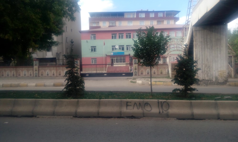 Ağrı Çukurçayır İlkokulu Fotoğrafları 3