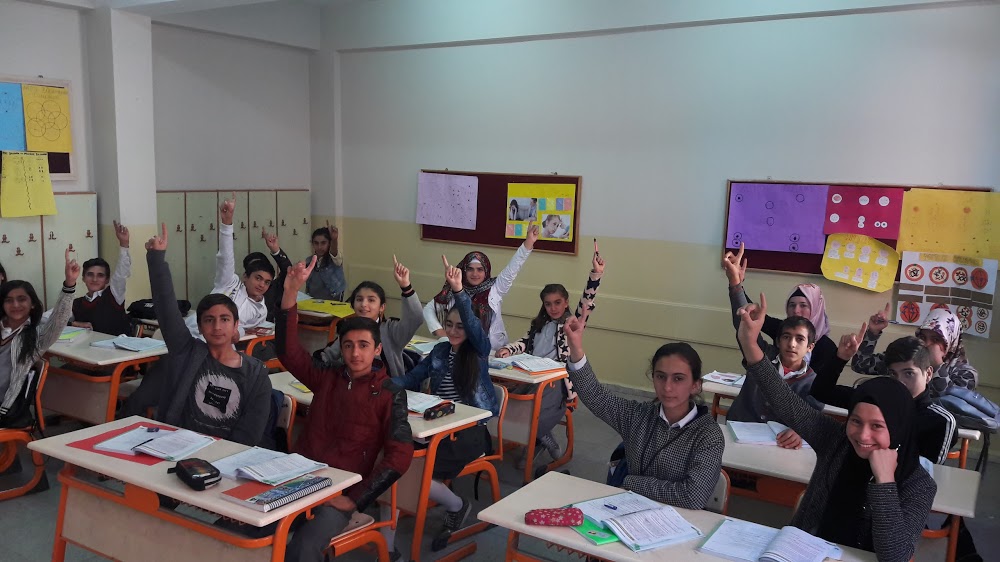 Ağrı Kazım Karabekir Ortaokulu Fotoğrafları 2