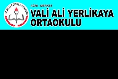 Vali Ali Yerlikaya Ortaokulu fotoğraf 1