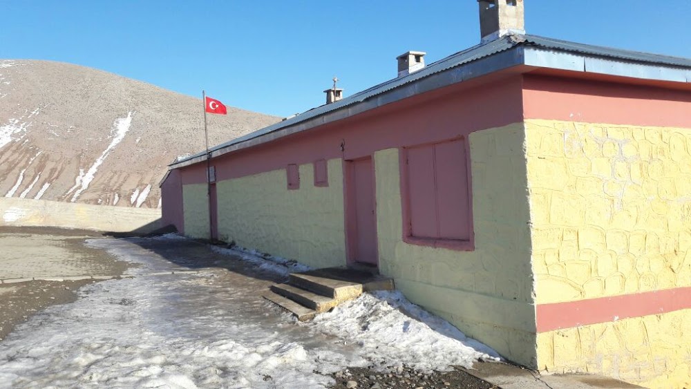 Diyadin İlkokulu Fotoğrafları 1