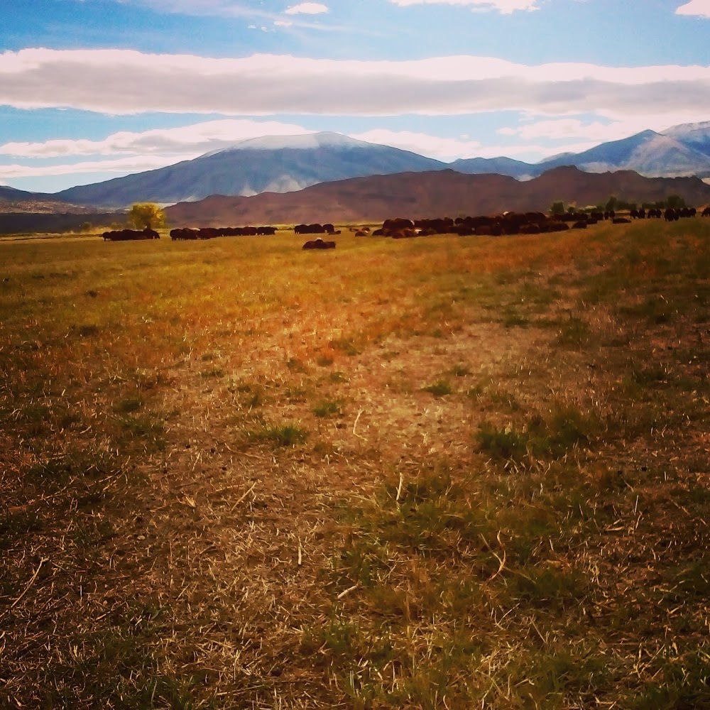 Tutak Yatılı Bölge Ortaokulu Fotoğrafları 1