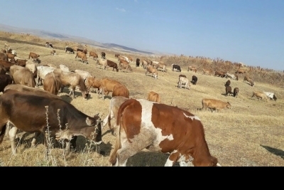 Patnos Yatılı Bölge Ortaokulu fotoğraf 7
