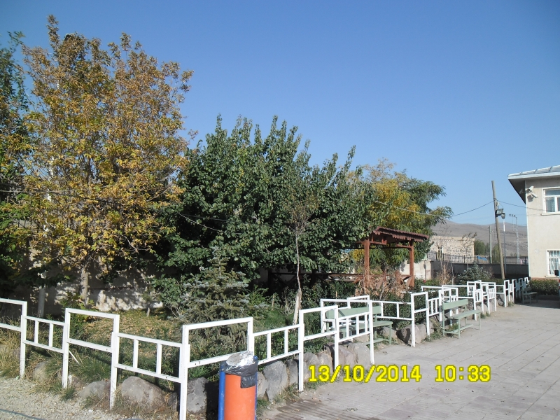 Tutak Yatılı Bölge Ortaokulu Fotoğrafları 3