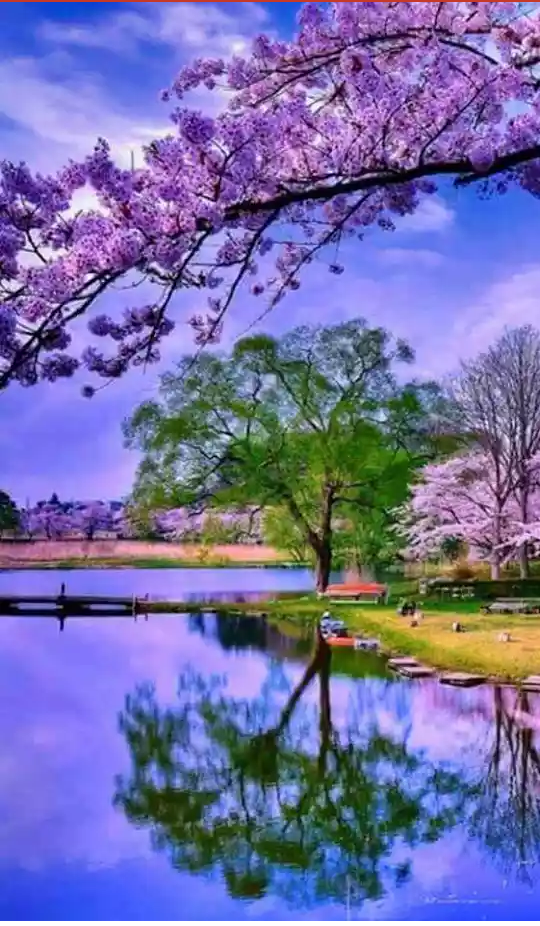 Ağrı Yatılı Bölge Ortaokulu Fotoğrafları 4