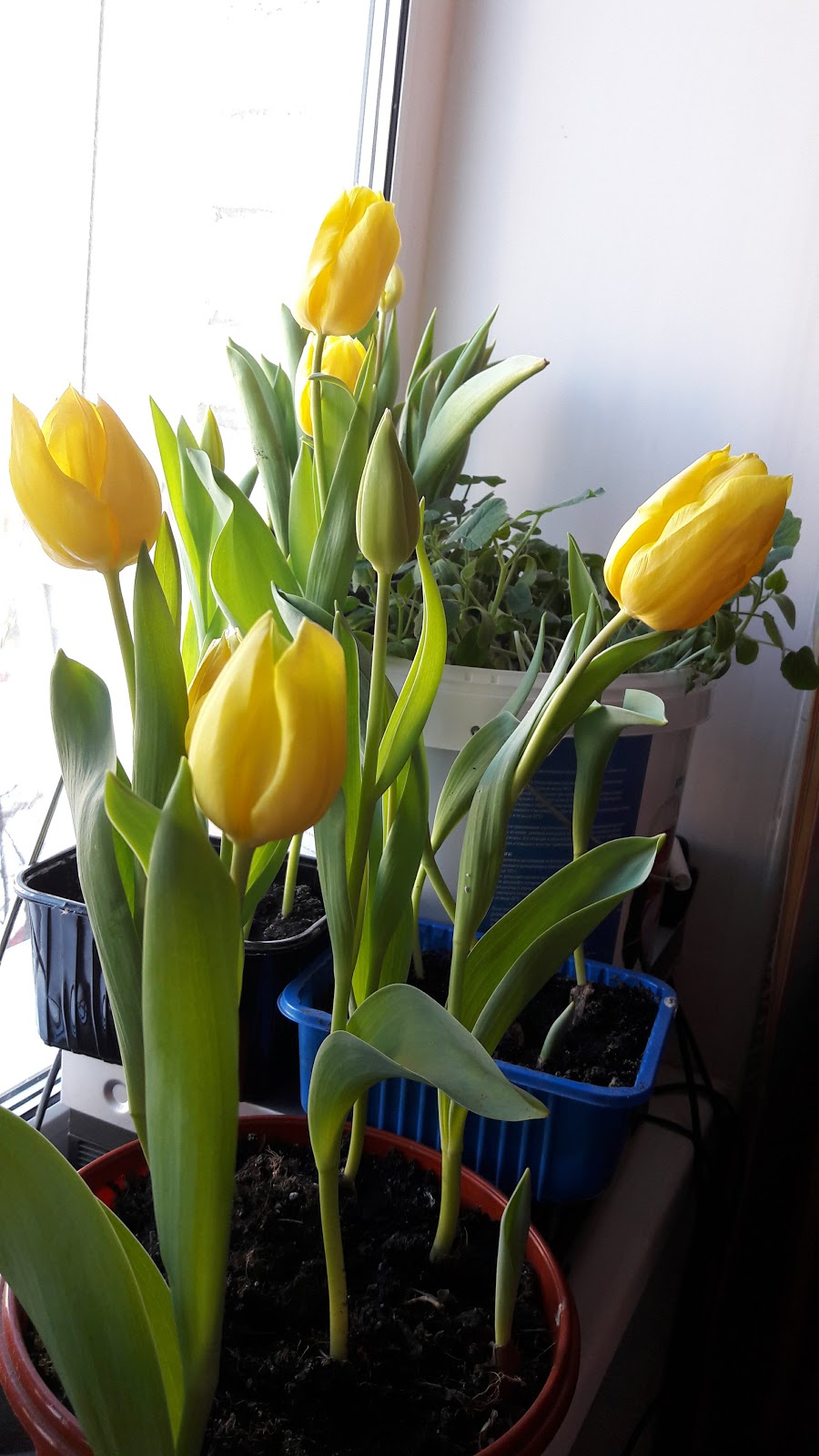 Tutak Yatılı Bölge Ortaokulu Fotoğrafları 5