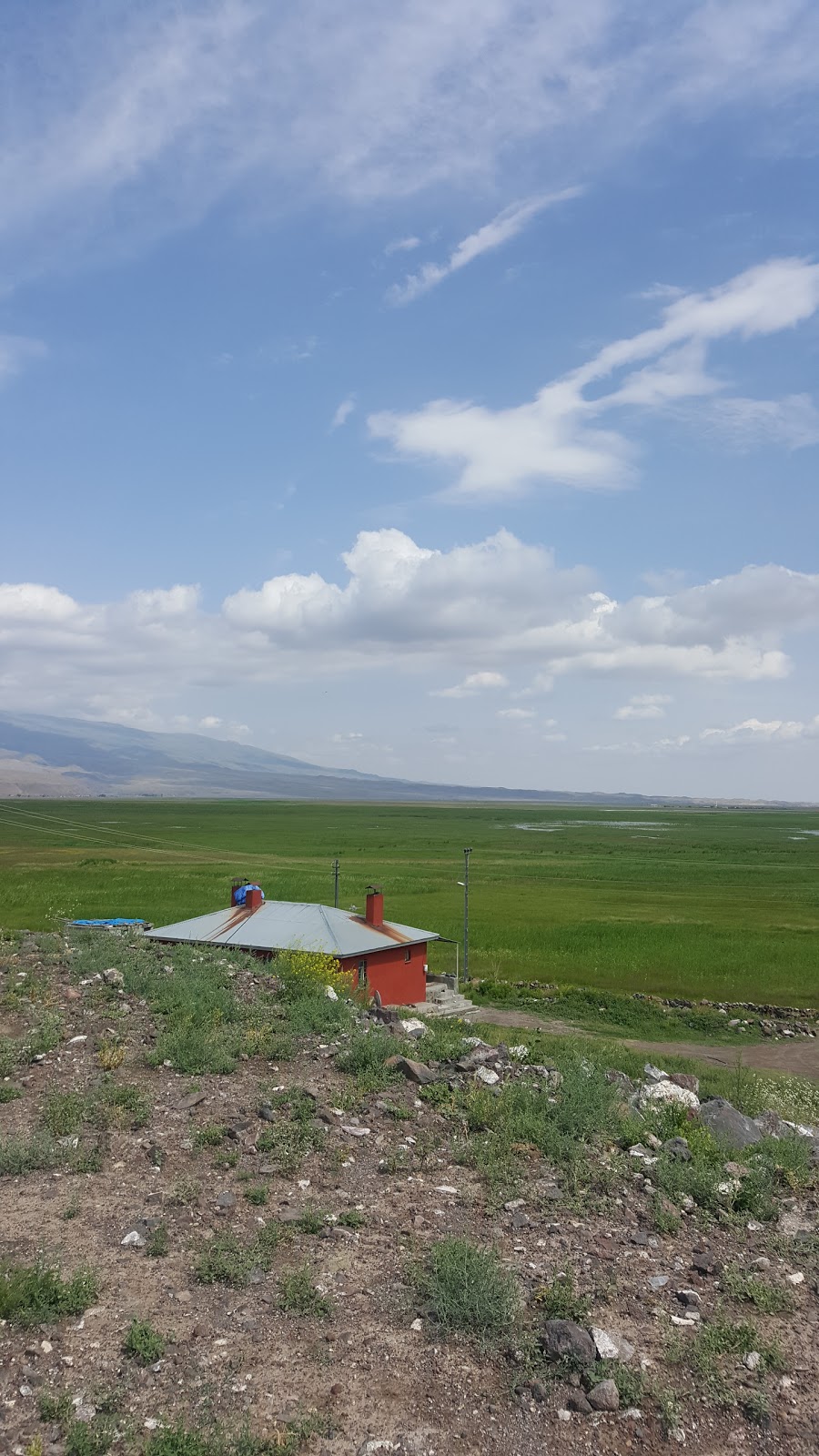 Ağrı Yatılı Bölge Ortaokulu Fotoğrafları 5