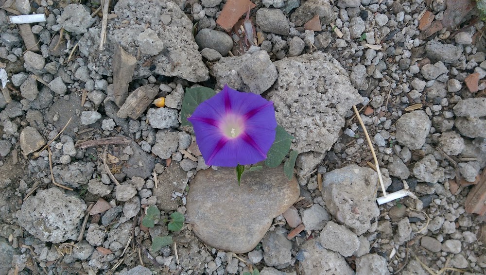 Tendürek Dağı Mesleki Ve Teknik Anadolu Lisesi Fotoğrafları 3