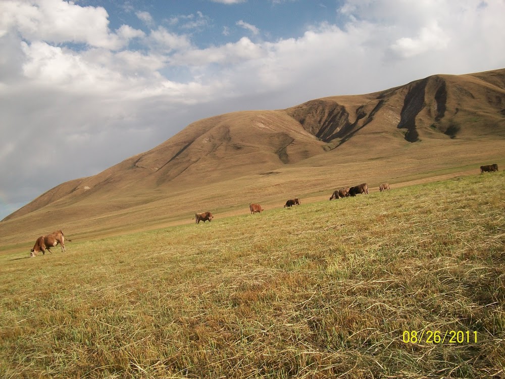 Tendürek Dağı Mesleki Ve Teknik Anadolu Lisesi Fotoğrafları 2