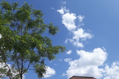 Eleşkirt Cengiz Topel İlkokulu fotoğraf 1