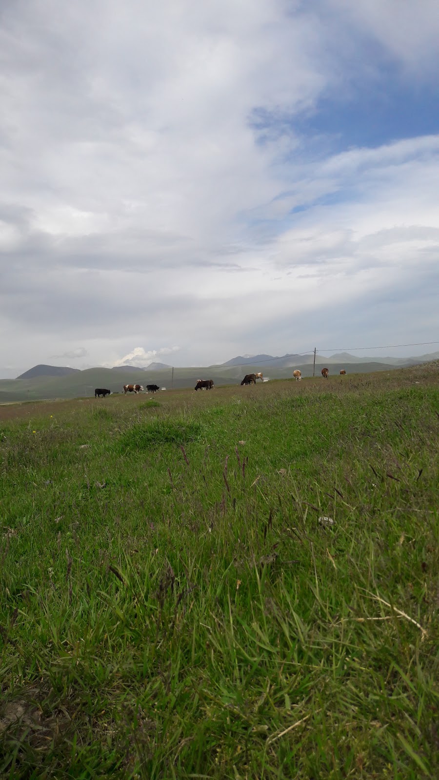 Ergözü Ortaokulu Fotoğrafları 2