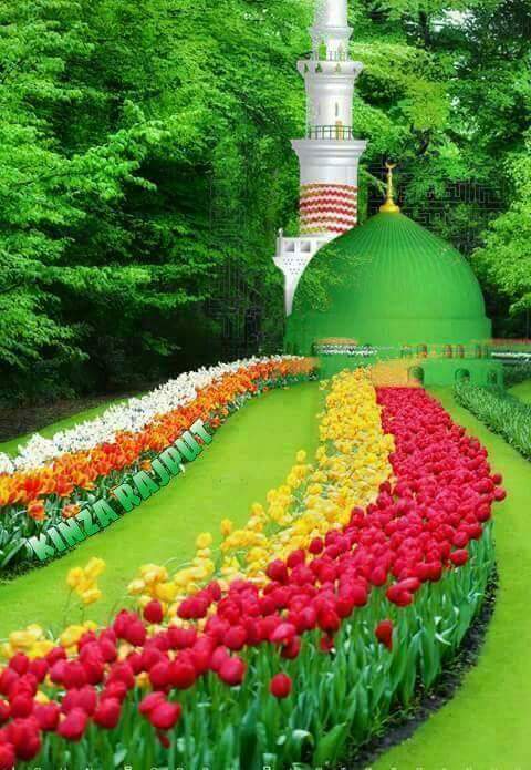 Ağrı Sarıcan İlkokulu Fotoğrafları 1