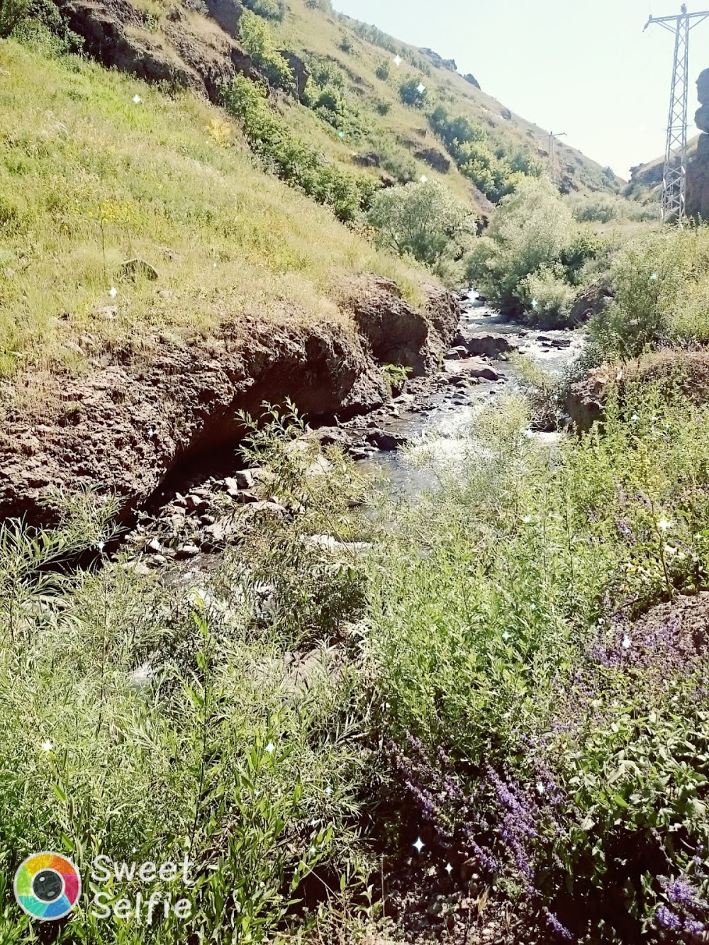 Ağrı Sarıcan İlkokulu Fotoğrafları 3