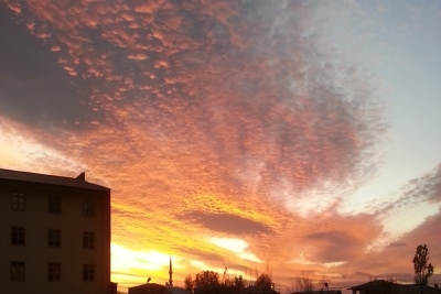 Ağrı Diyadin Türk Telekom Ortaokulu fotoğraf 1