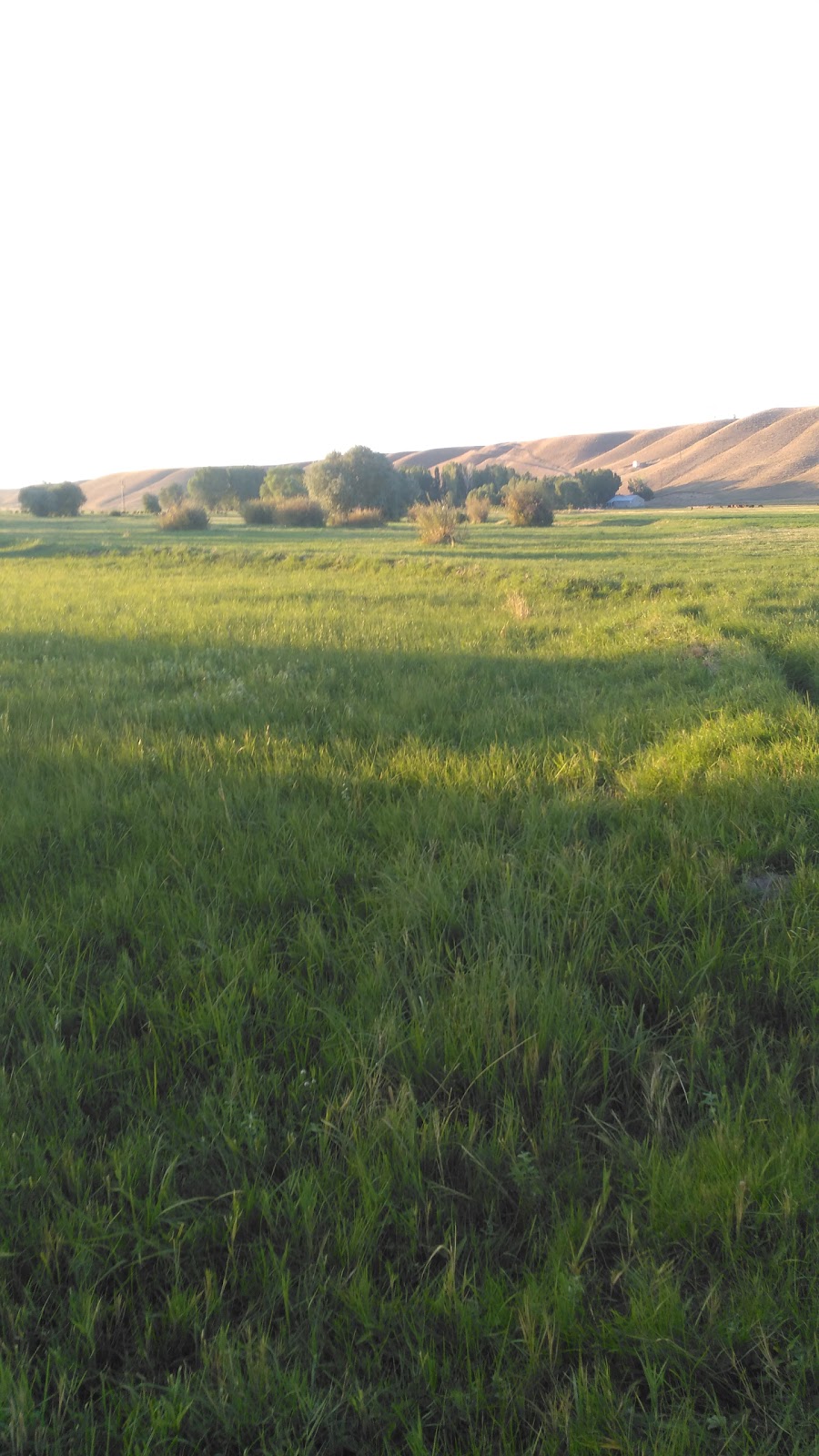 Kaynaklı İlkokulu Fotoğrafları 3