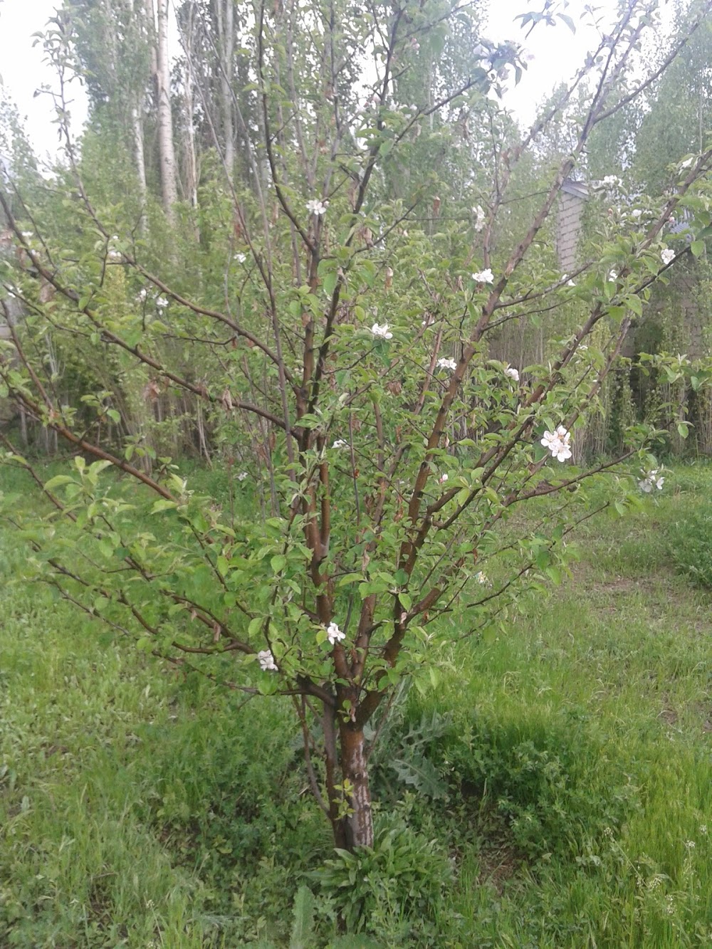 Oyacık Bağdışan İlkokulu Fotoğrafları 2