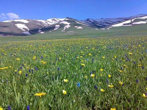 Eleşkirt İmam Hatip Ortaokulu Fotoğrafları 2