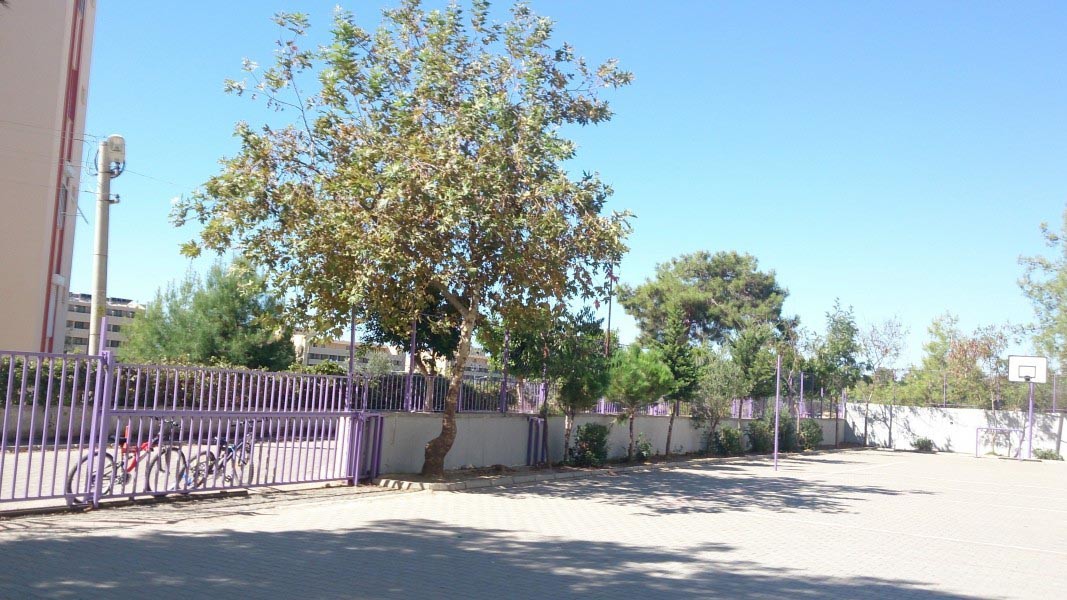 Alacami İlkokulu kampüs fotoğrafı