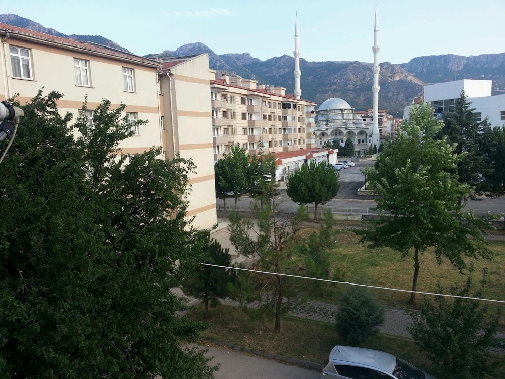 Amasya Sabuncuoğlu Şerefeddin Mesleki Ve Teknik Anadolu Lisesi Fotoğrafları 1