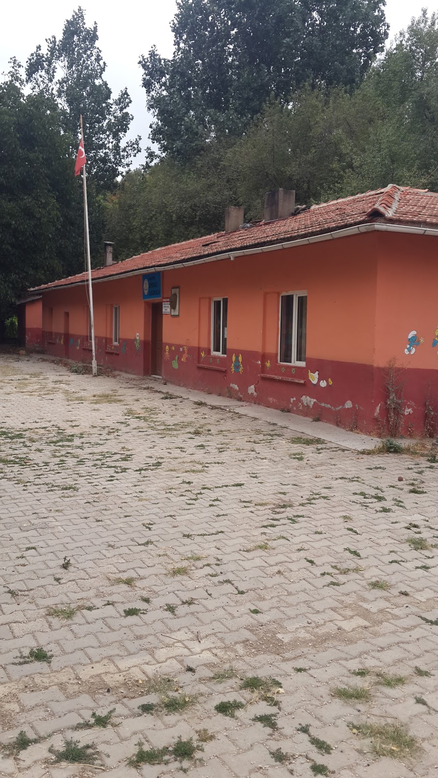 Amasya Direkli İlkokulu Fotoğrafları 1