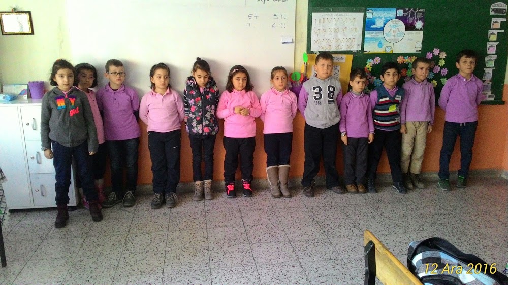 Ezinepazar İlkokulu Fotoğrafları 2