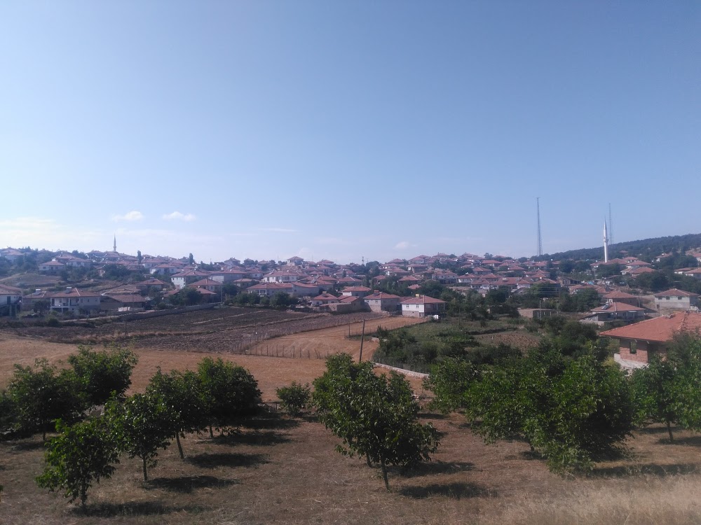 Göynücek Alan İlkokulu Fotoğrafları 2