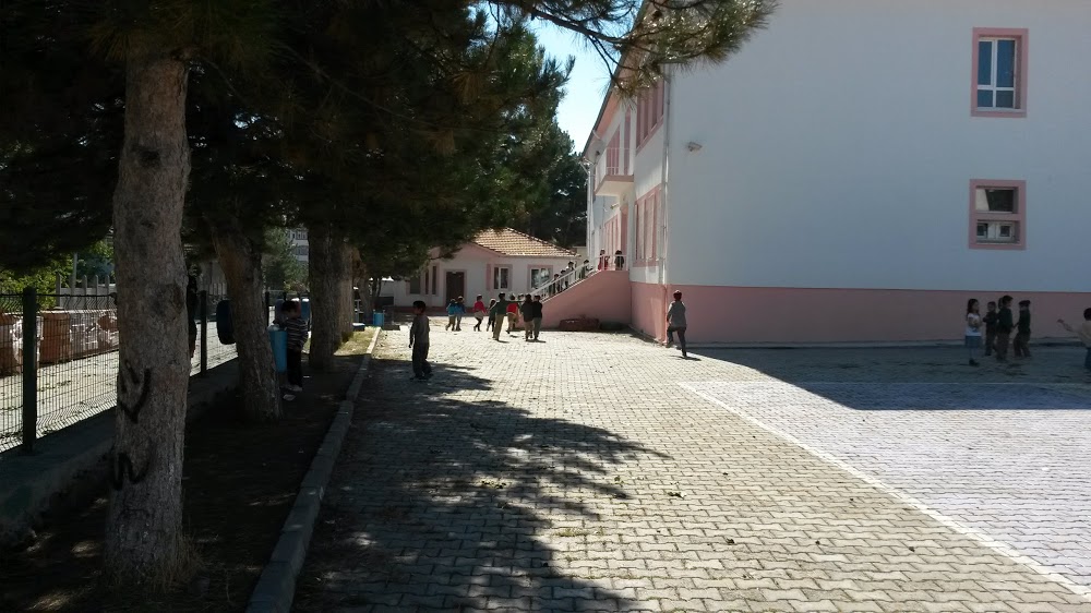 Göynücek Alan İlkokulu Fotoğrafları 3