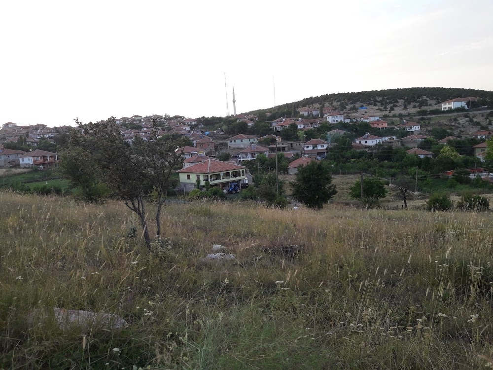 Göynücek Alan İlkokulu Fotoğrafları 1