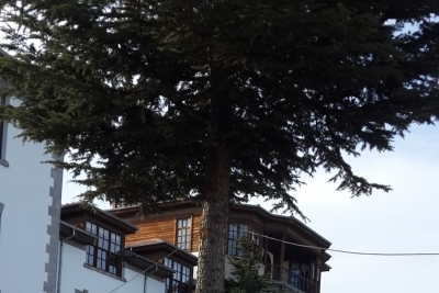 Merzifon Fen Lisesi fotoğraf 1