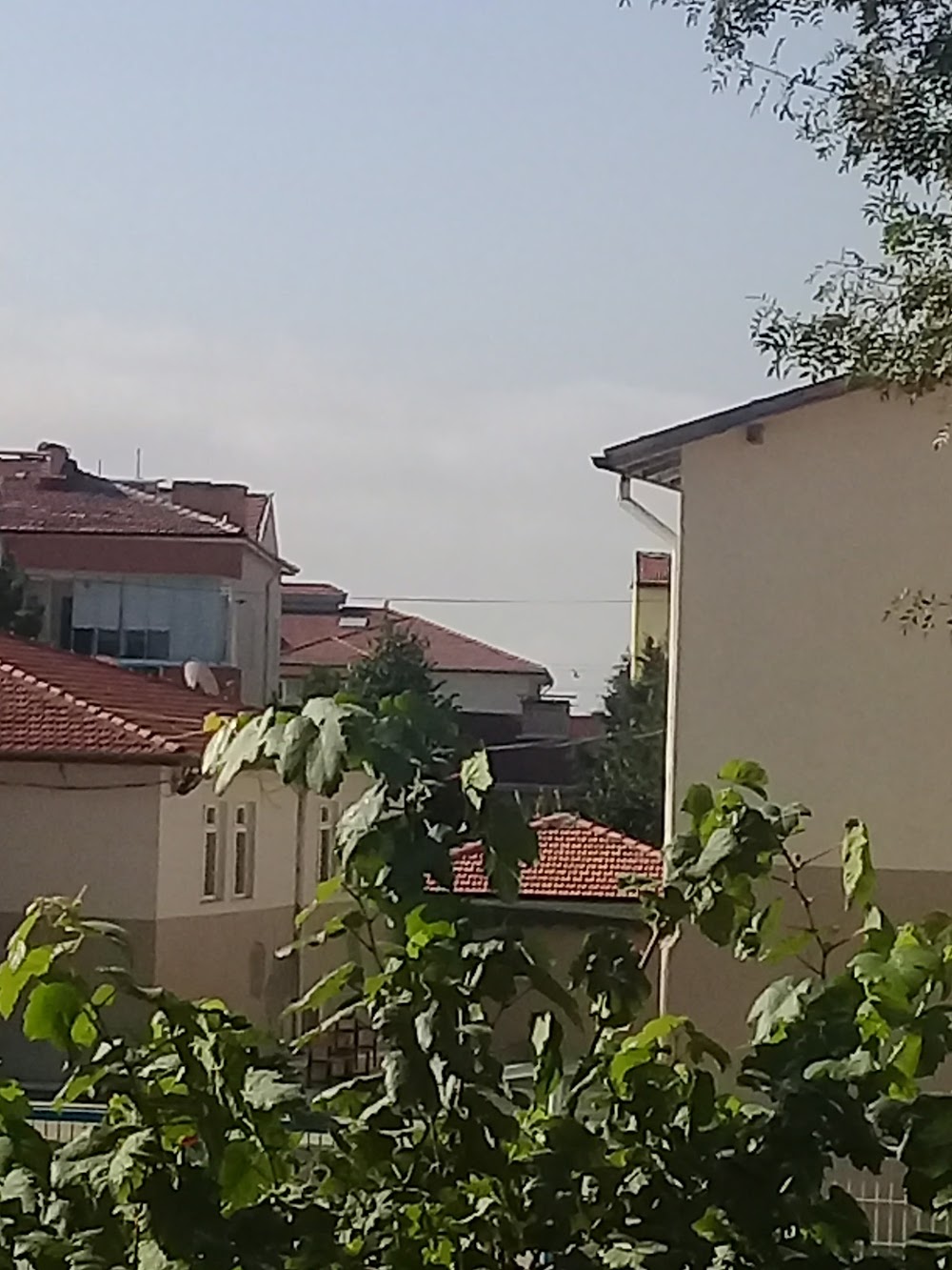 Amasya Namık Kemal Ortaokulu Fotoğrafları 1