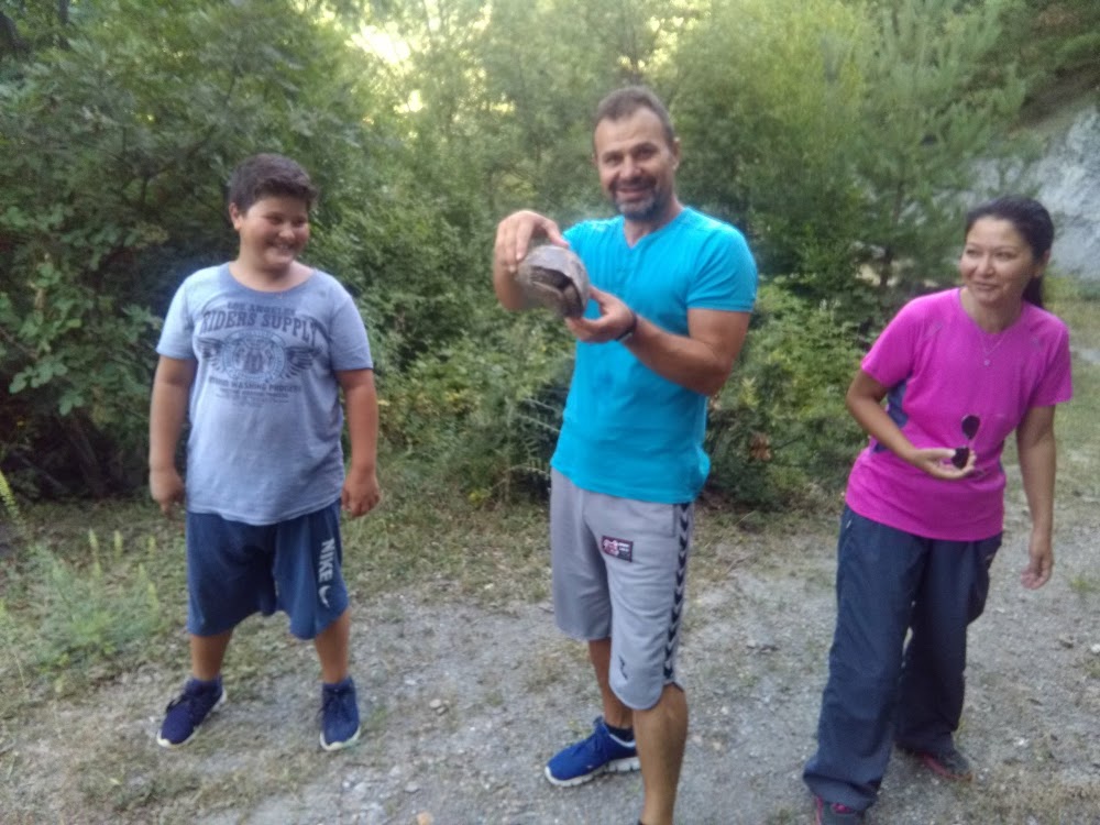 Destek İlkokulu Fotoğrafları 1