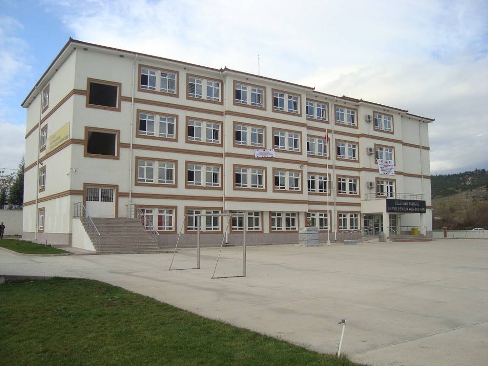 Taşova Süleyman Bursalı Mesleki Ve Teknik Anadolu Lisesi Fotoğrafları 1