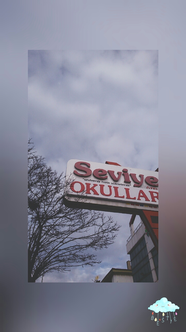 Özel Seviye Ortaokulu Fotoğrafları 6