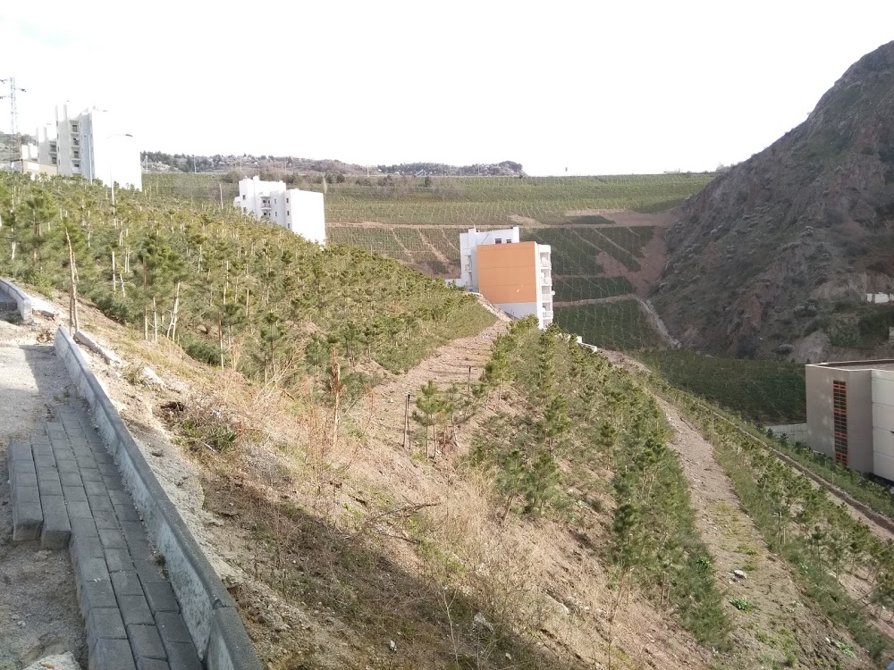 Altındağ Katip Çelebi İlkokulu Fotoğrafları 1