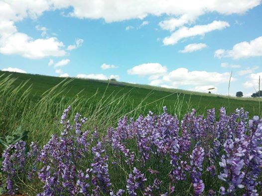 Altındağ Kavaklı İlkokulu Fotoğrafları 1