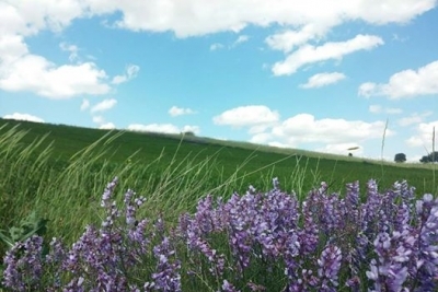 Altındağ Kavaklı İlkokulu fotoğraf 1