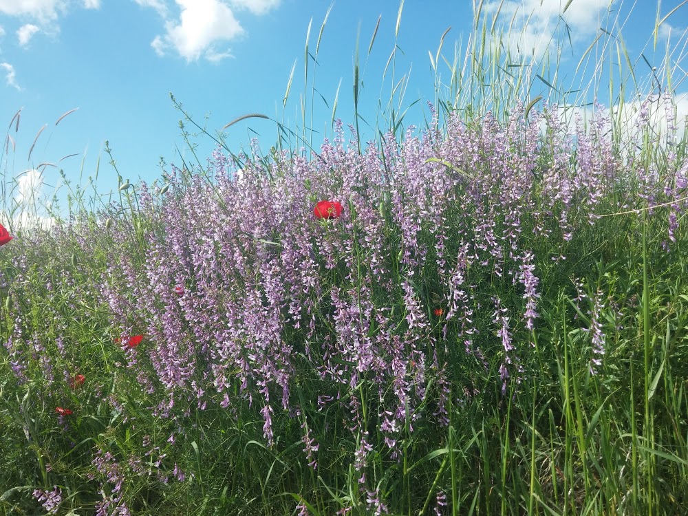 Altındağ Kavaklı İlkokulu Fotoğrafları 4