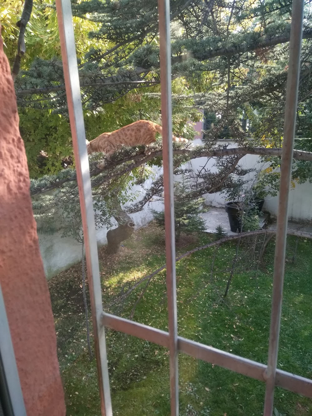 Uluğbey Anadolu Lisesi Fotoğrafları 1