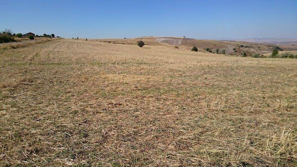 Yukarı Peçenek İlkokulu Fotoğrafları 1