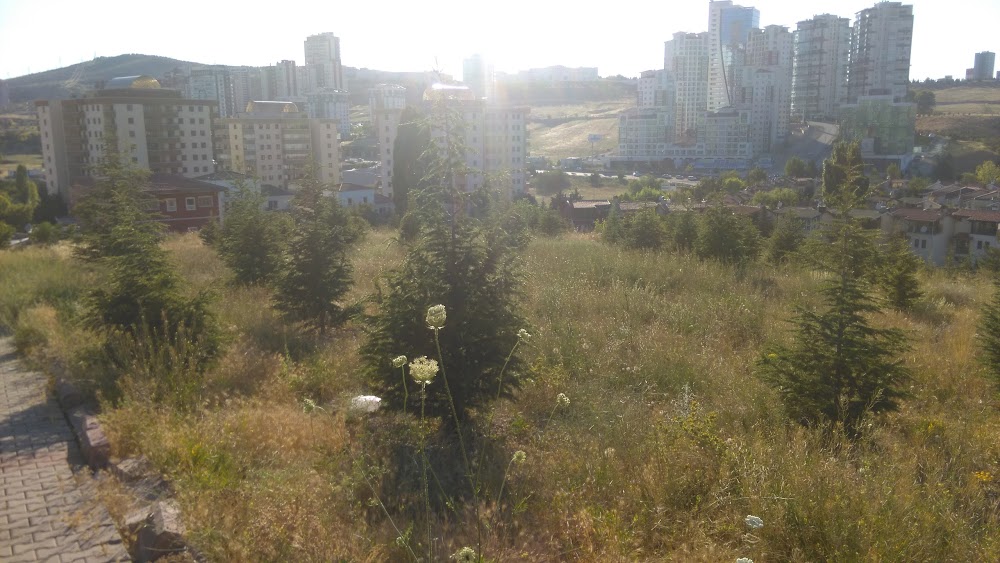 Çankaya 75. Yıl Anadolu Lisesi Fotoğrafları 2
