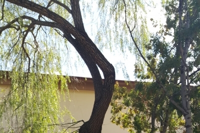 Balgat Mesleki Ve Teknik Anadolu Lisesi fotoğraf 3