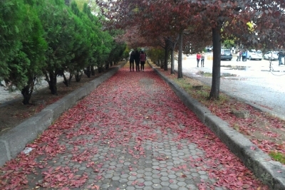Ankara Atatürk Lisesi Fotoğrafları 2