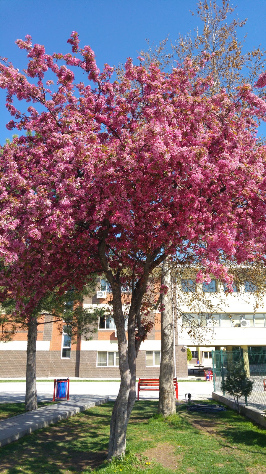 Ankara Üniversitesi Geliştirme Vakfı Özel AML Fotoğrafları 7