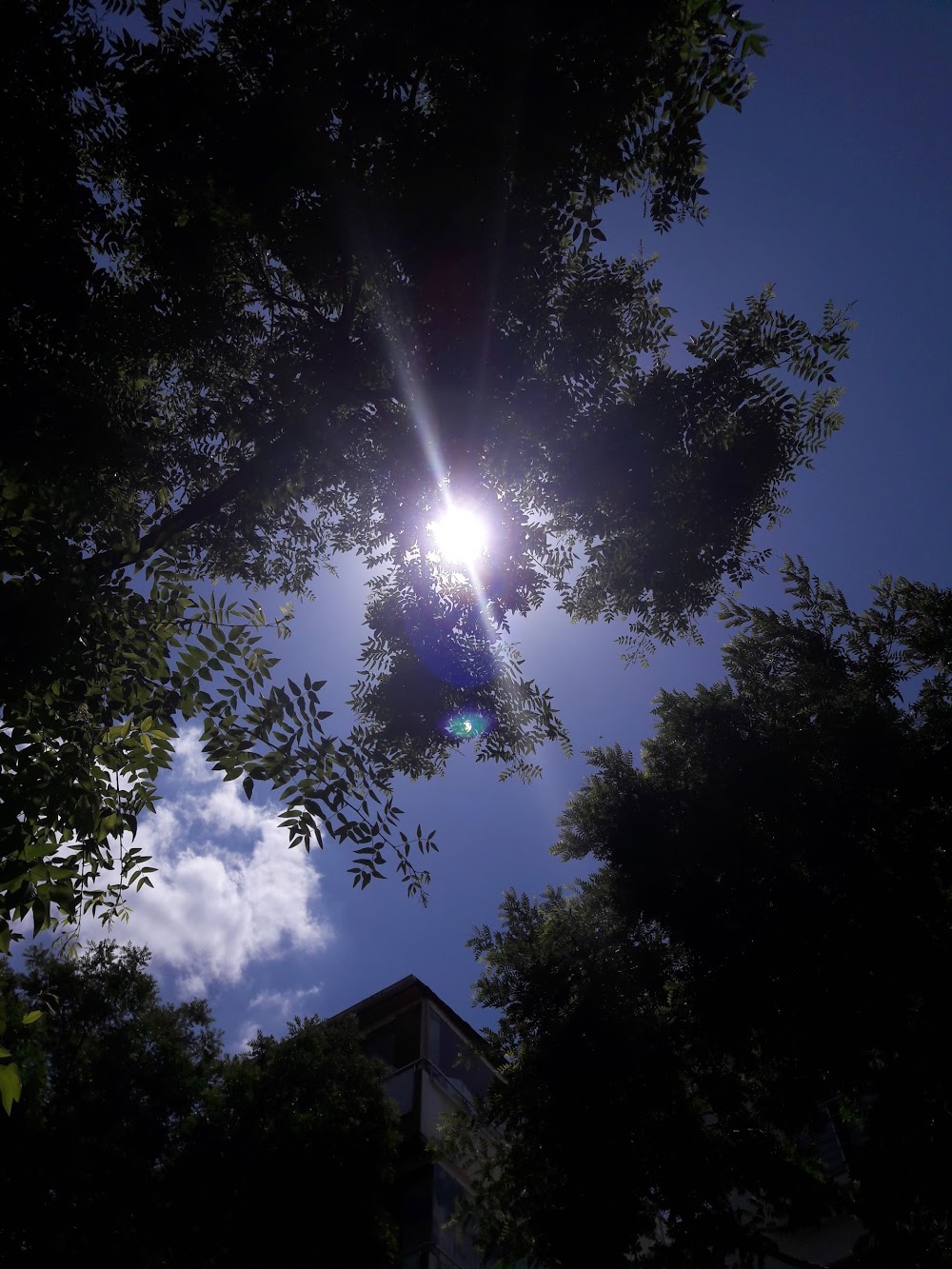 Bahçelievler Deneme Anadolu Lisesi Fotoğrafları 3