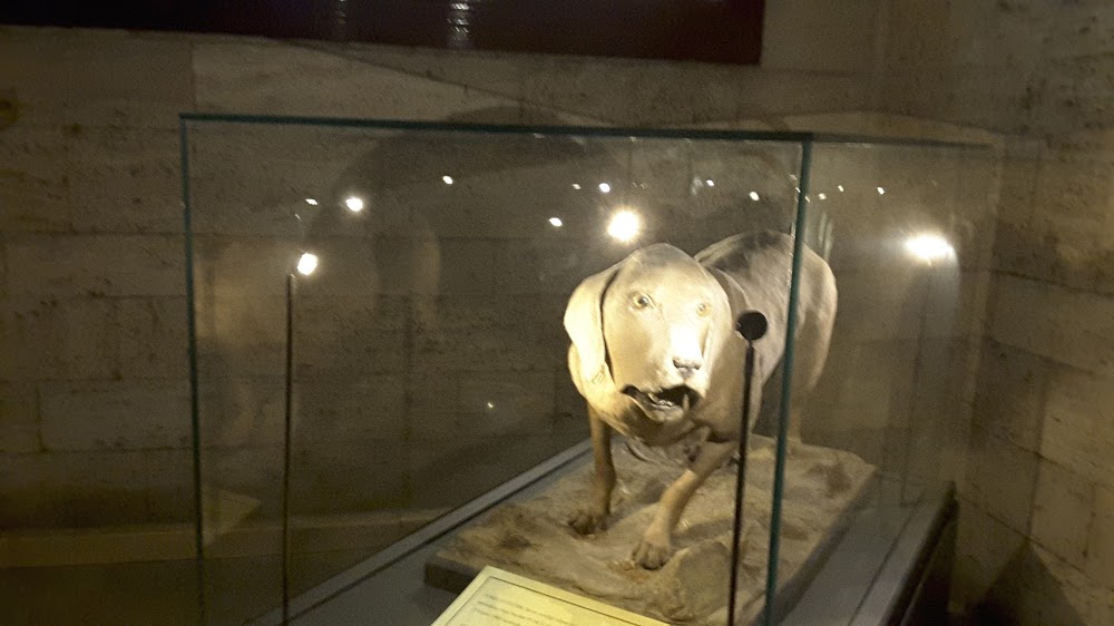 Beytepe İlkokulu Fotoğrafları 2