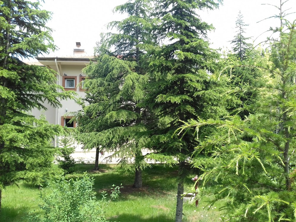 Çankaya İmkb Mesleki Ve Teknik Anadolu Lisesi Fotoğrafları 1