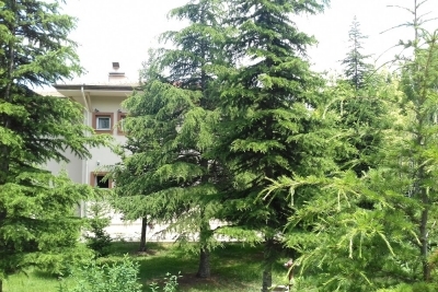 Çankaya İmkb Mesleki Ve Teknik Anadolu Lisesi fotoğraf 1