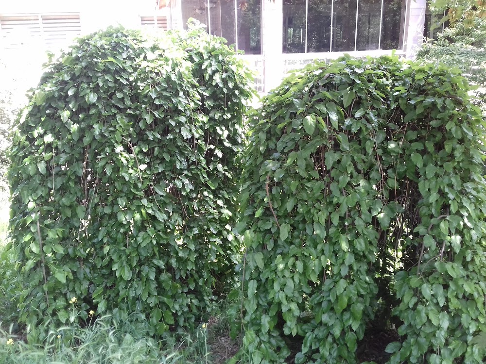 Çankaya İmkb Mesleki Ve Teknik Anadolu Lisesi Fotoğrafları 3